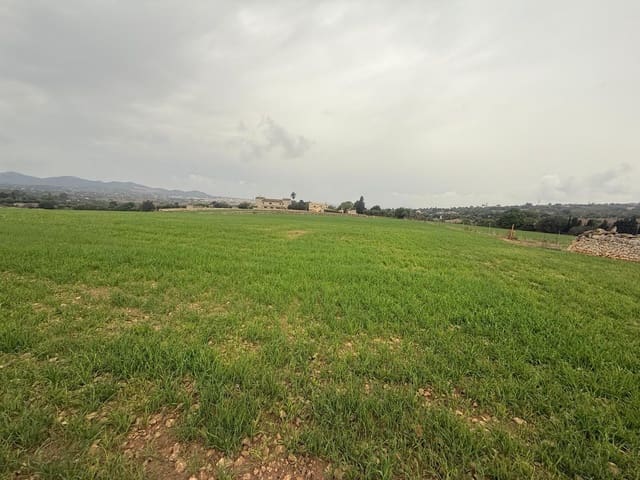 Finca/Country House for sale in Manacor - € 350,000 (Ref: 9686369)