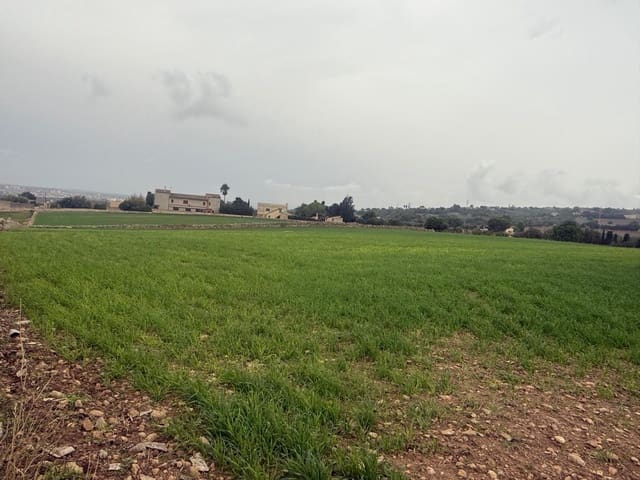 Finca/Country House for sale in Manacor - € 850,000 (Ref: 9686370)