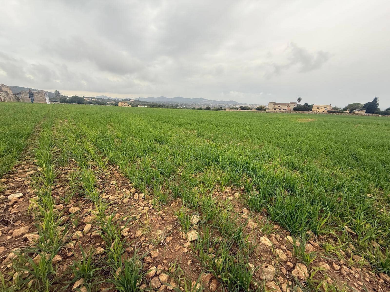 Finca/Casa di Campagna in vendita in Manacor - 850.000 € (Rif: 9686370)