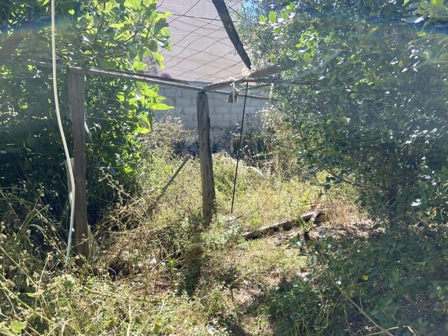 Terrain à Bâtir à vendre à Muro - 250 000 € (Ref: 9758925)