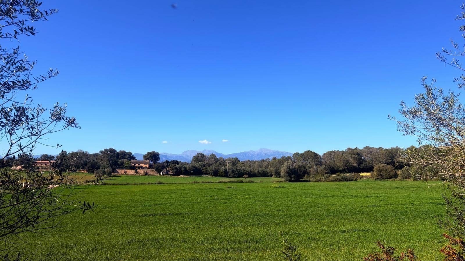 Terrain à Bâtir à vendre à Algaida - 400 000 € (Ref: 9797050)