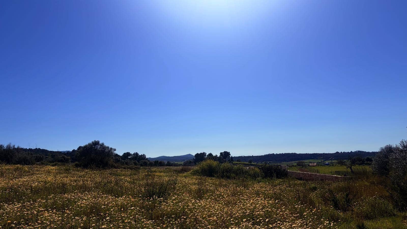 Terrain à Bâtir à vendre à Algaida - 400 000 € (Ref: 9797050)