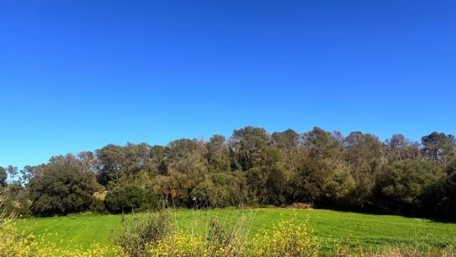 Terrain à Bâtir à vendre à Algaida - 400 000 € (Ref: 9797050)