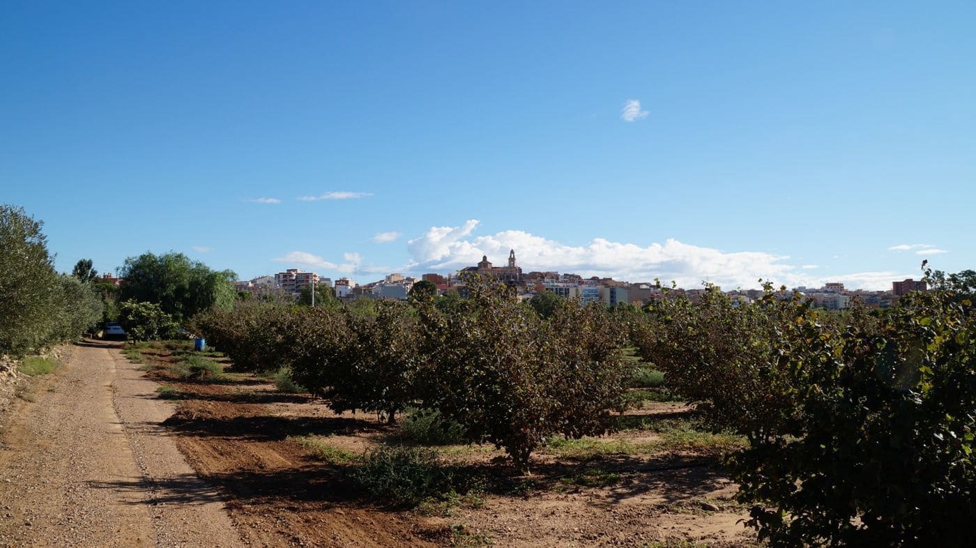 2 chambre Finca/Maison de Campagne à vendre à Constanti - 350 000 € (Ref: 9617921)