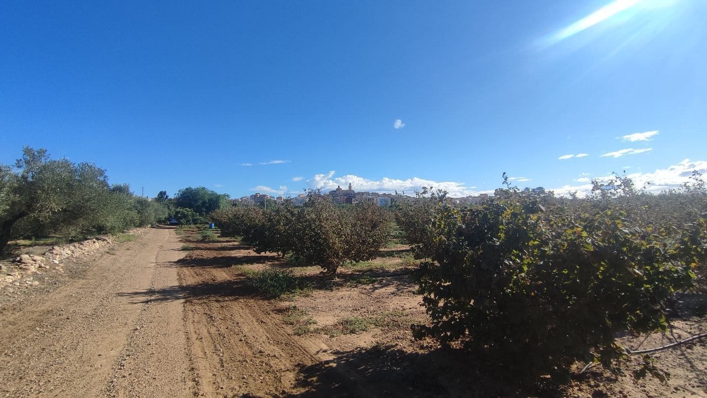 2 chambre Finca/Maison de Campagne à vendre à Constanti - 350 000 € (Ref: 9617921)