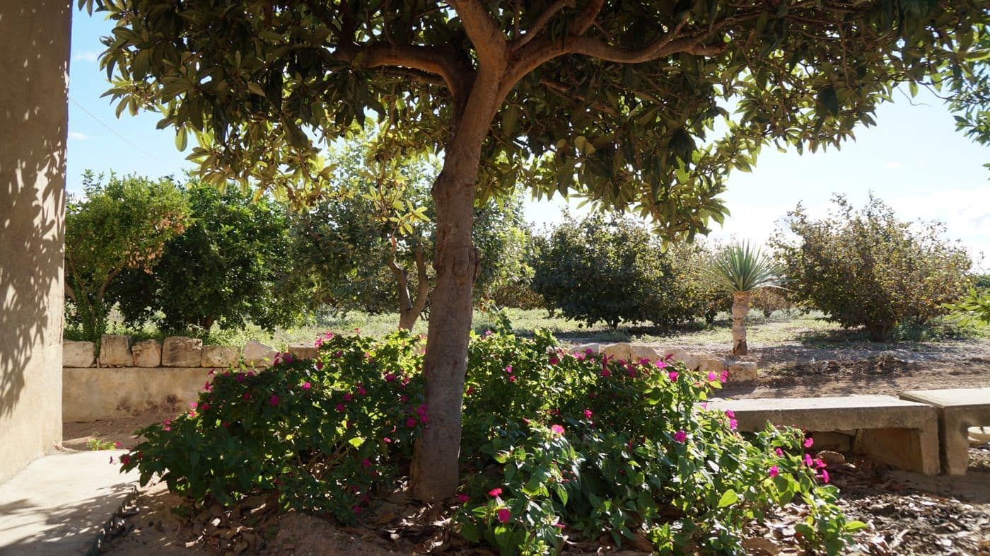 2 chambre Finca/Maison de Campagne à vendre à Constanti - 350 000 € (Ref: 9617921)