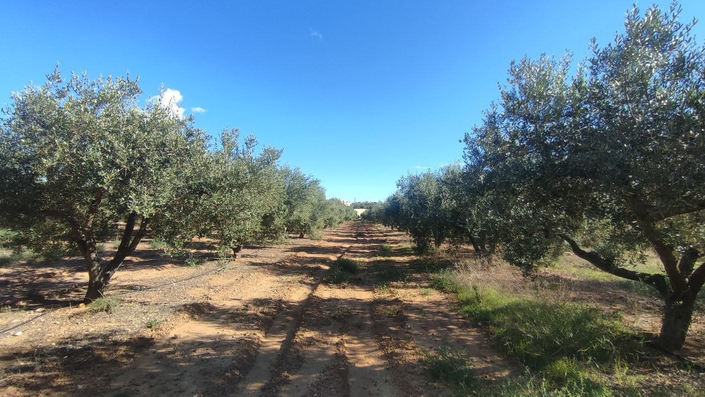 2 chambre Finca/Maison de Campagne à vendre à Constanti - 350 000 € (Ref: 9617921)