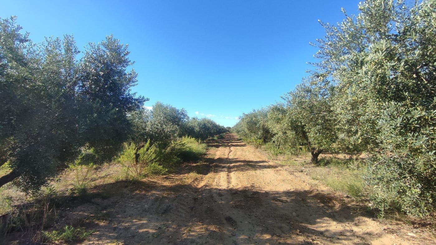 2 chambre Finca/Maison de Campagne à vendre à Constanti - 350 000 € (Ref: 9617921)