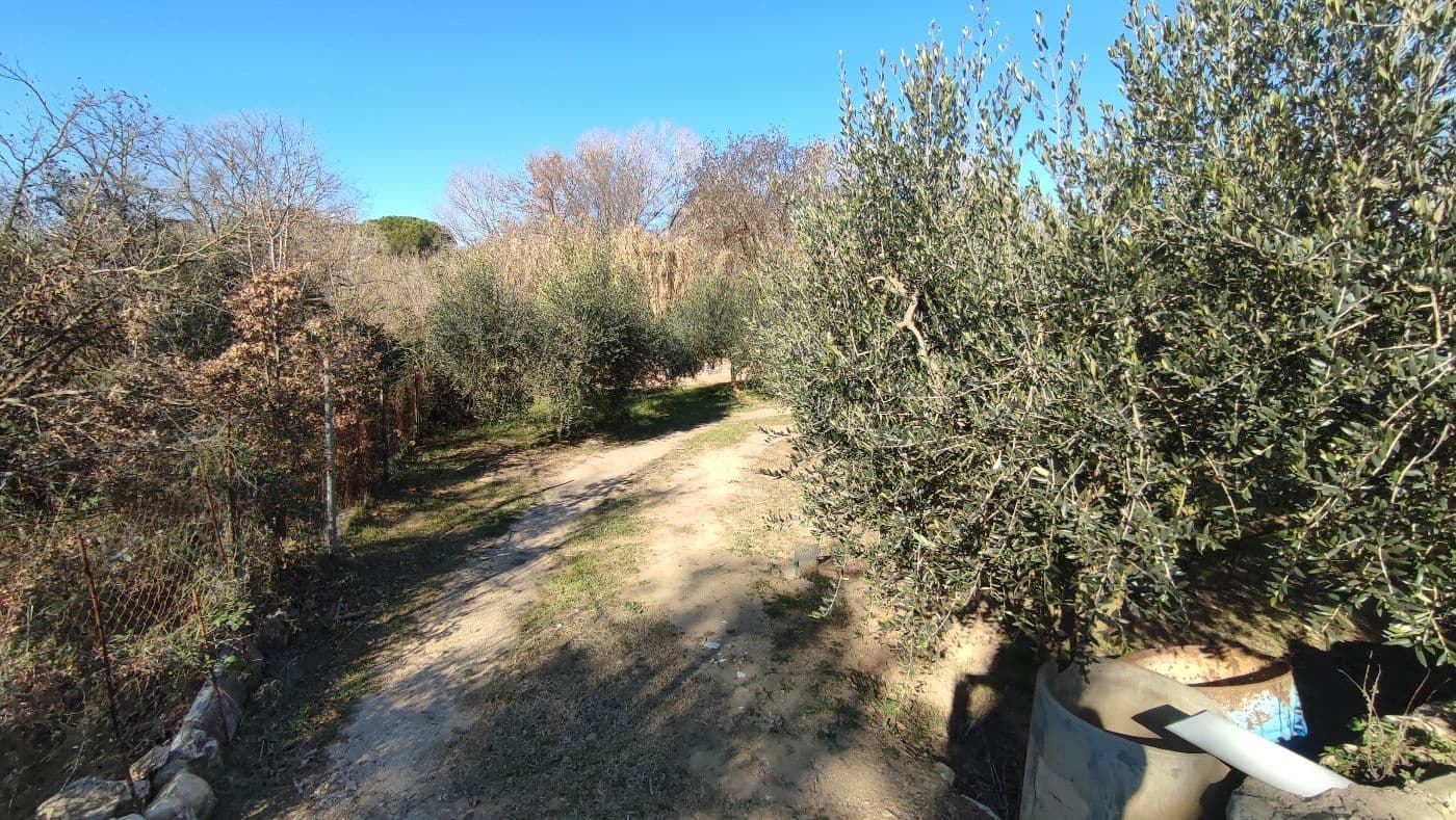 Finca/Maison de Campagne à vendre à Montferri - 55 000 € (Ref: 9617922)