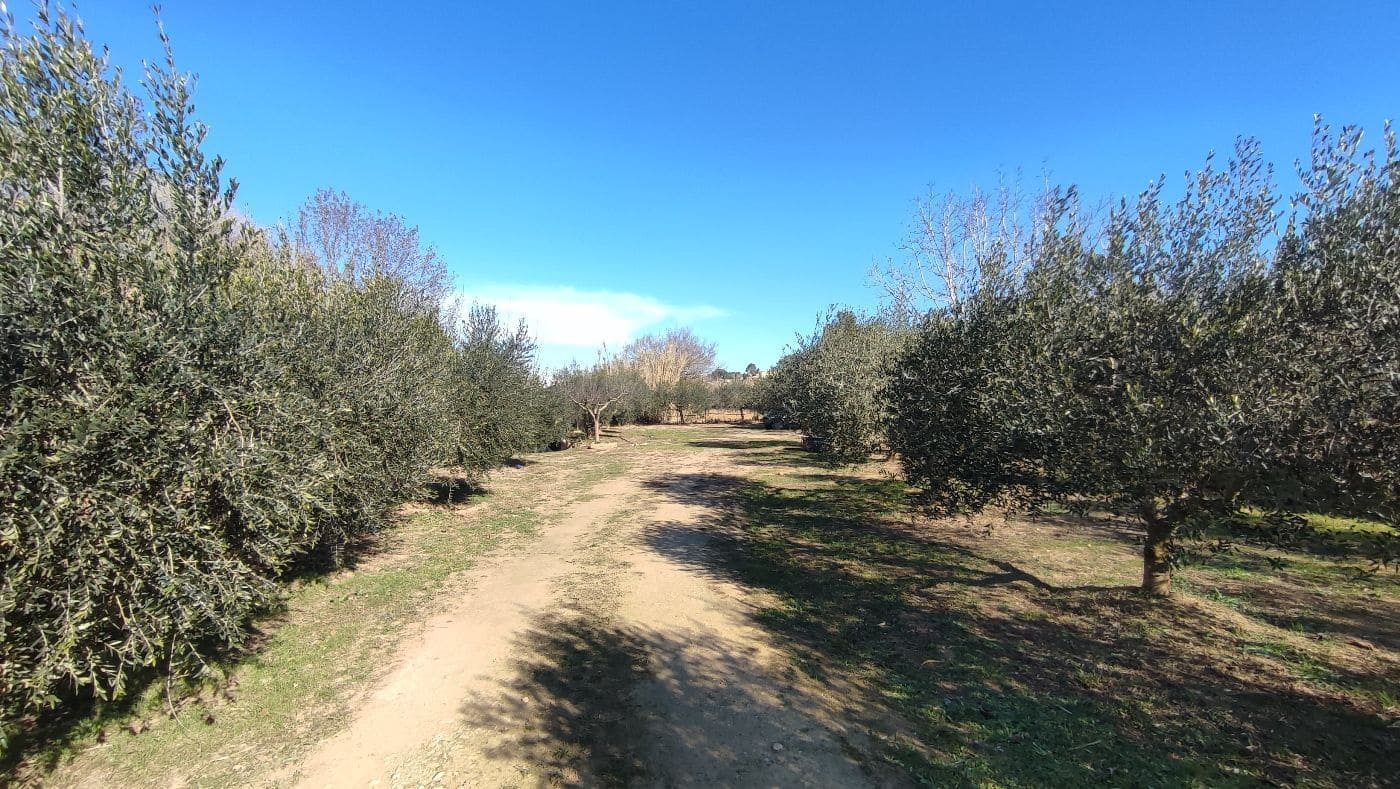 Finca/Maison de Campagne à vendre à Montferri - 55 000 € (Ref: 9617922)