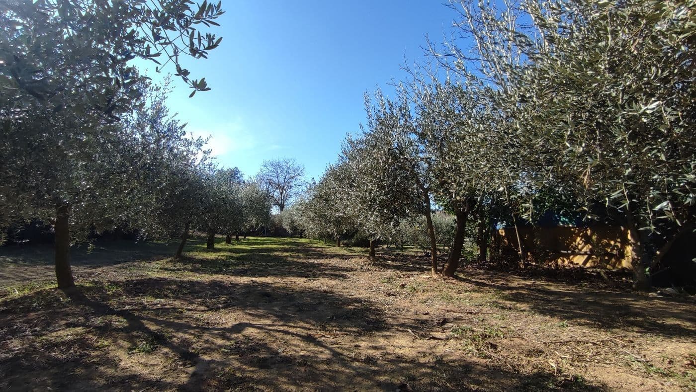 Finca/Maison de Campagne à vendre à Montferri - 55 000 € (Ref: 9617922)