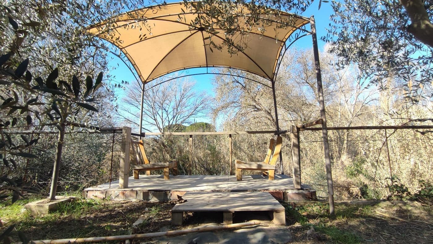 Finca/Maison de Campagne à vendre à Montferri - 55 000 € (Ref: 9617922)