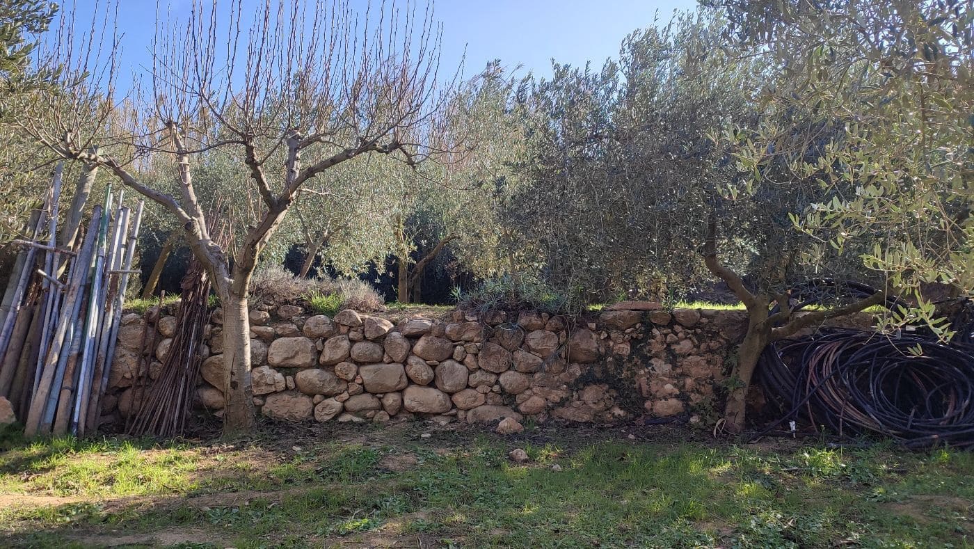 Finca/Maison de Campagne à vendre à Montferri - 55 000 € (Ref: 9617922)