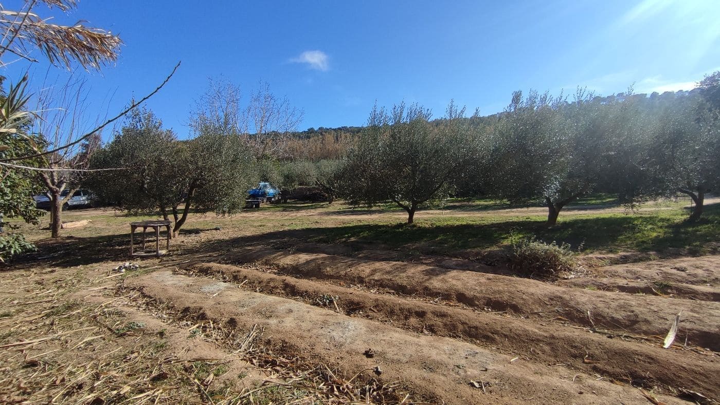 Finca/Maison de Campagne à vendre à Montferri - 55 000 € (Ref: 9617922)