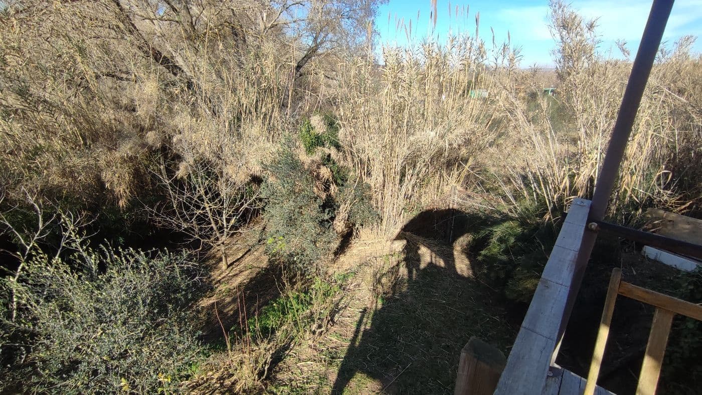 Finca/Maison de Campagne à vendre à Montferri - 55 000 € (Ref: 9617922)