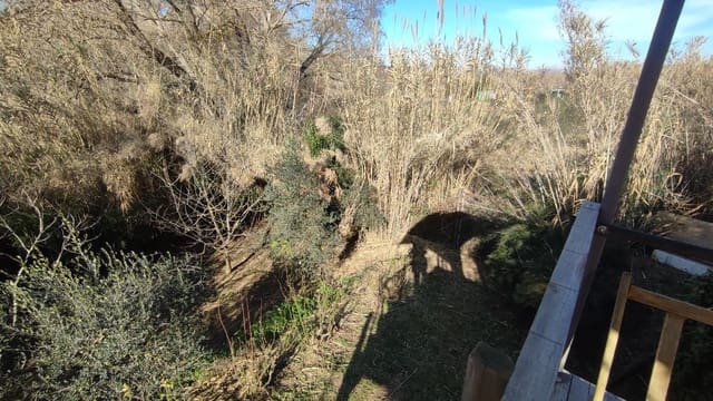 Finca/Maison de Campagne à vendre à Montferri - 55 000 € (Ref: 9617922)