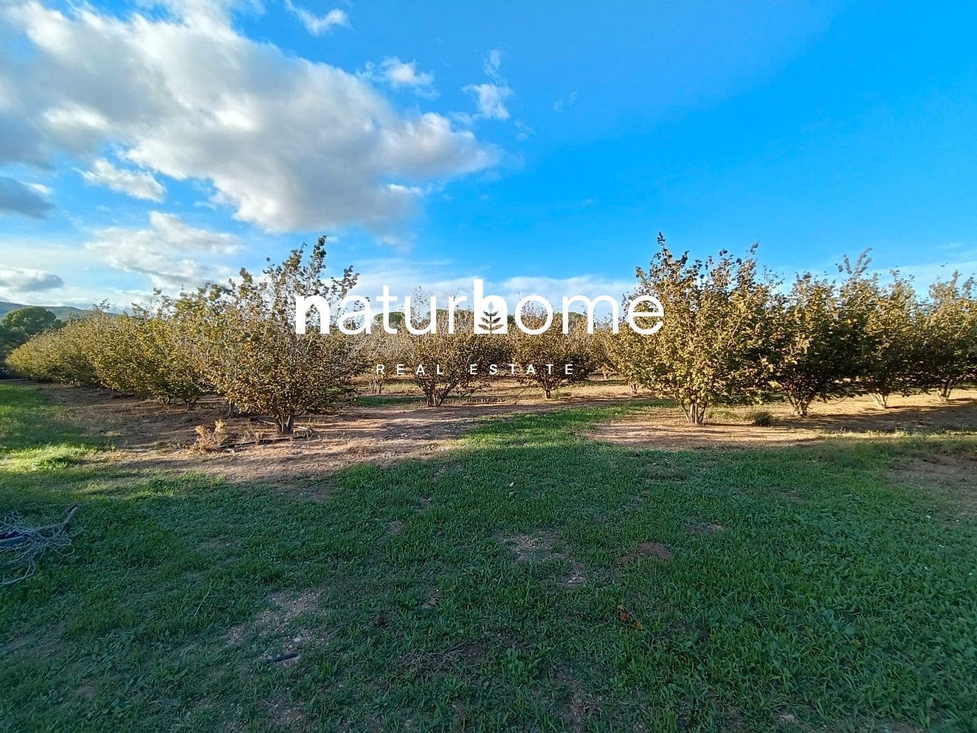 Grond te koop in Alcover - € 150.000 (Ref: 9617923)