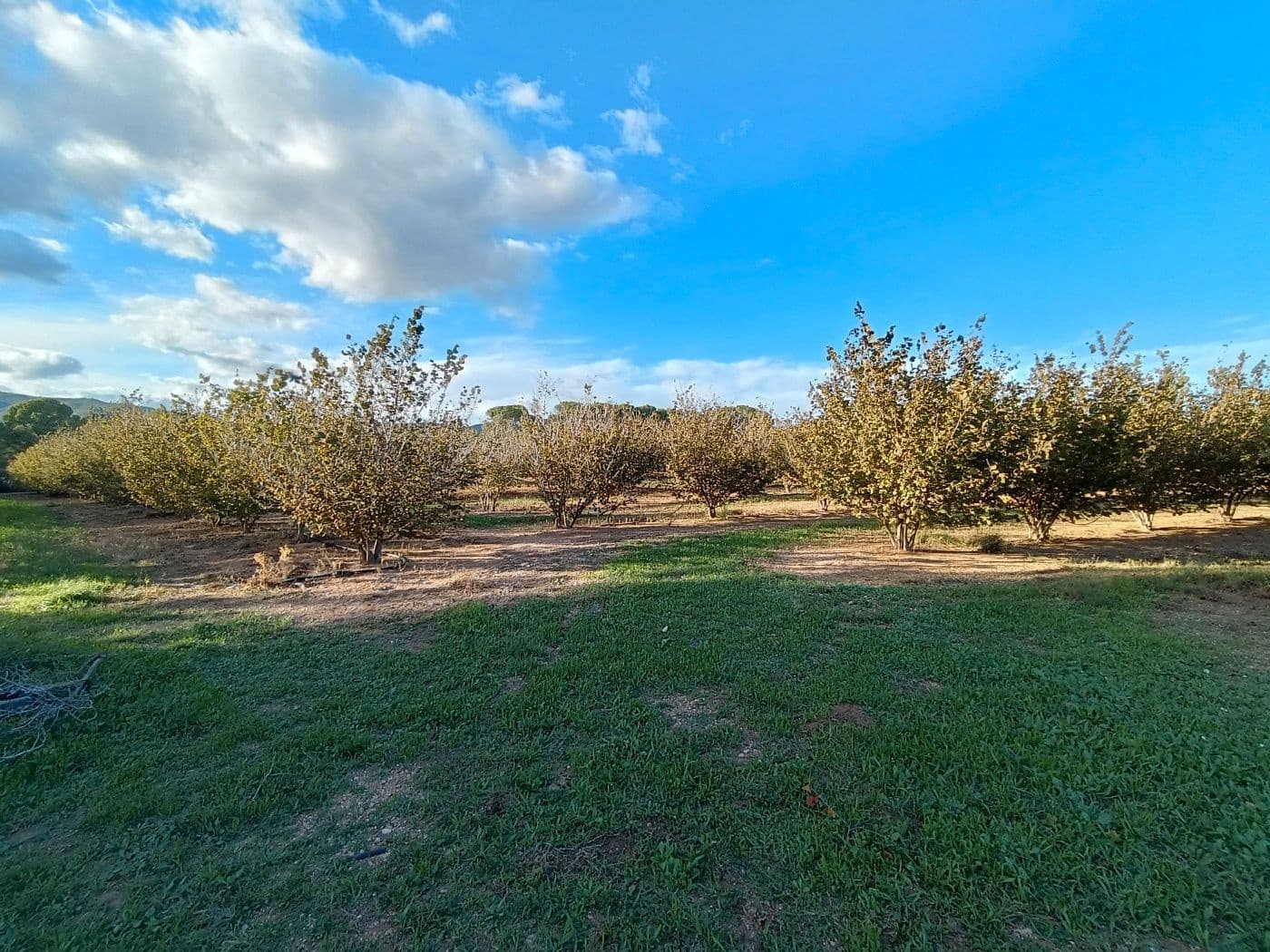 Grond te koop in Alcover - € 150.000 (Ref: 9617923)