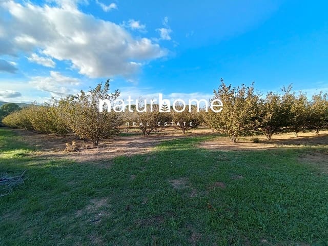 Grunde uden byggetilladelser til salg i Alcover - € 150.000 (Ref: 9617923)