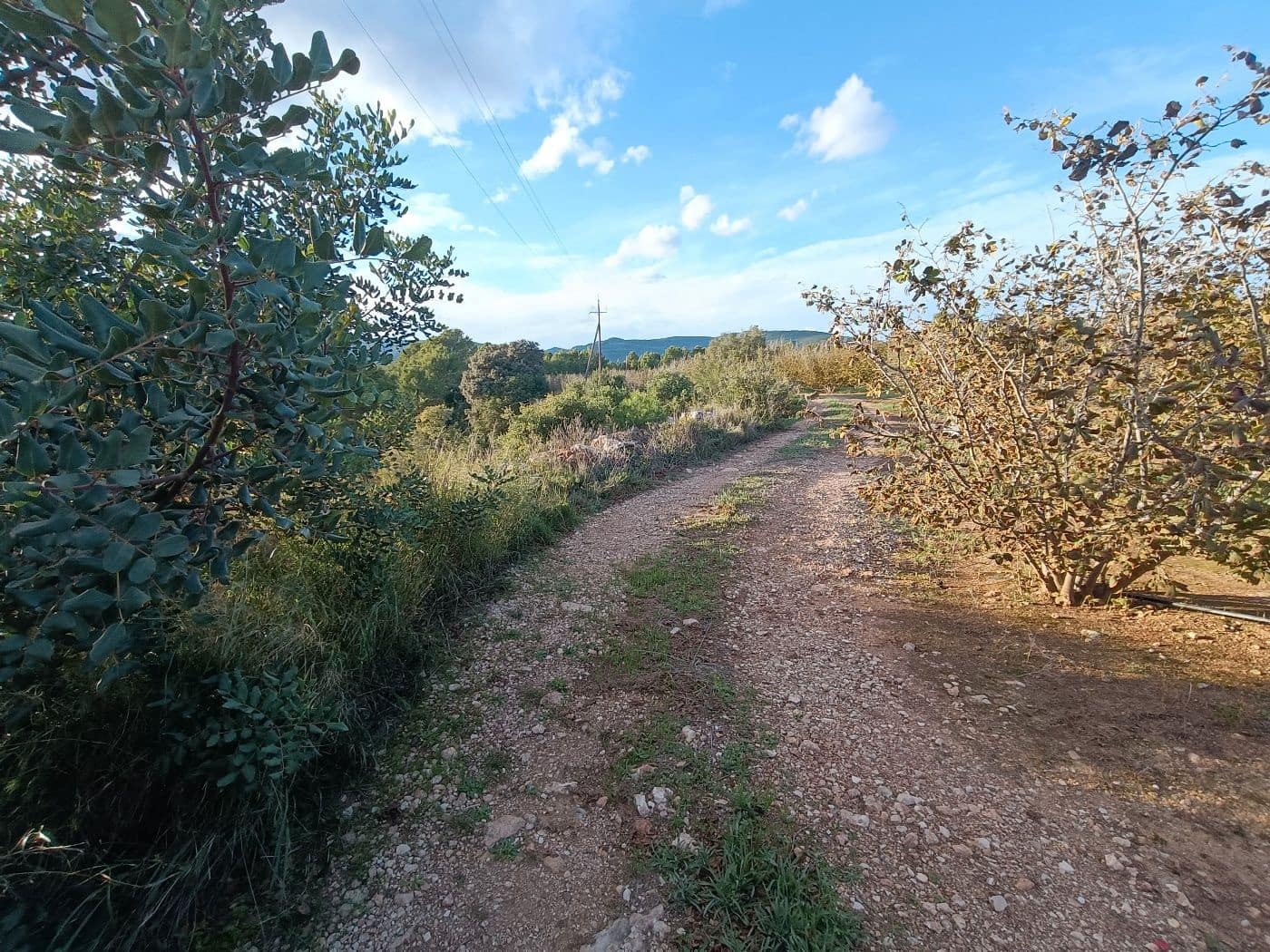 Grond te koop in Alcover - € 150.000 (Ref: 9617923)