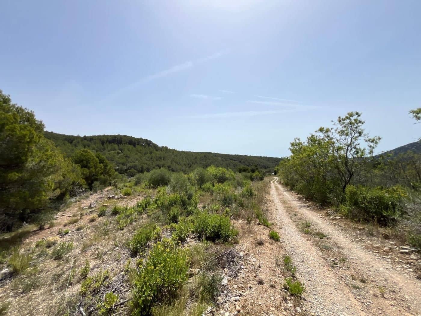 Mark till salu i Pratdip - 24 000 € (Ref: 9617924)