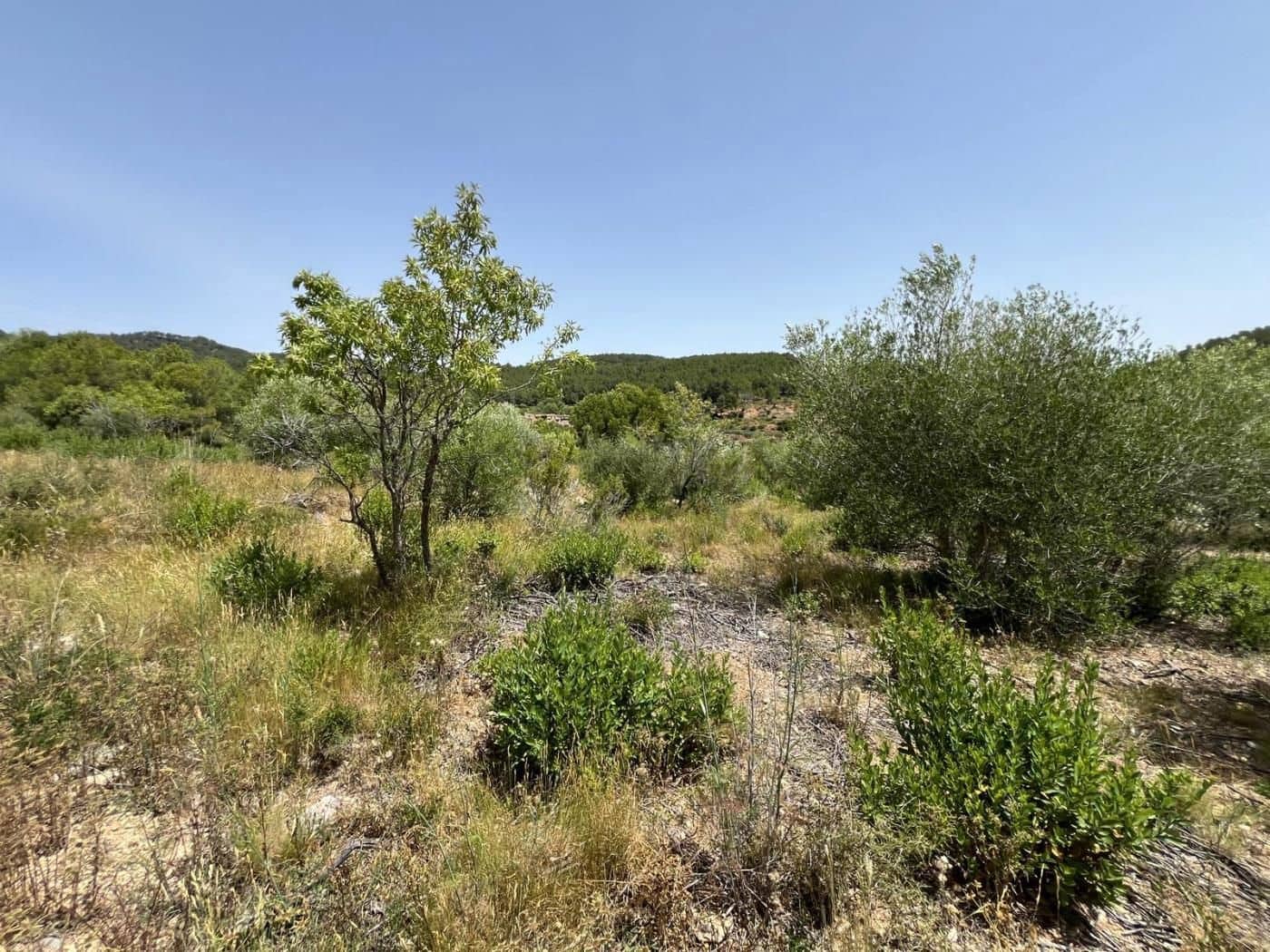 Mark till salu i Pratdip - 24 000 € (Ref: 9617924)