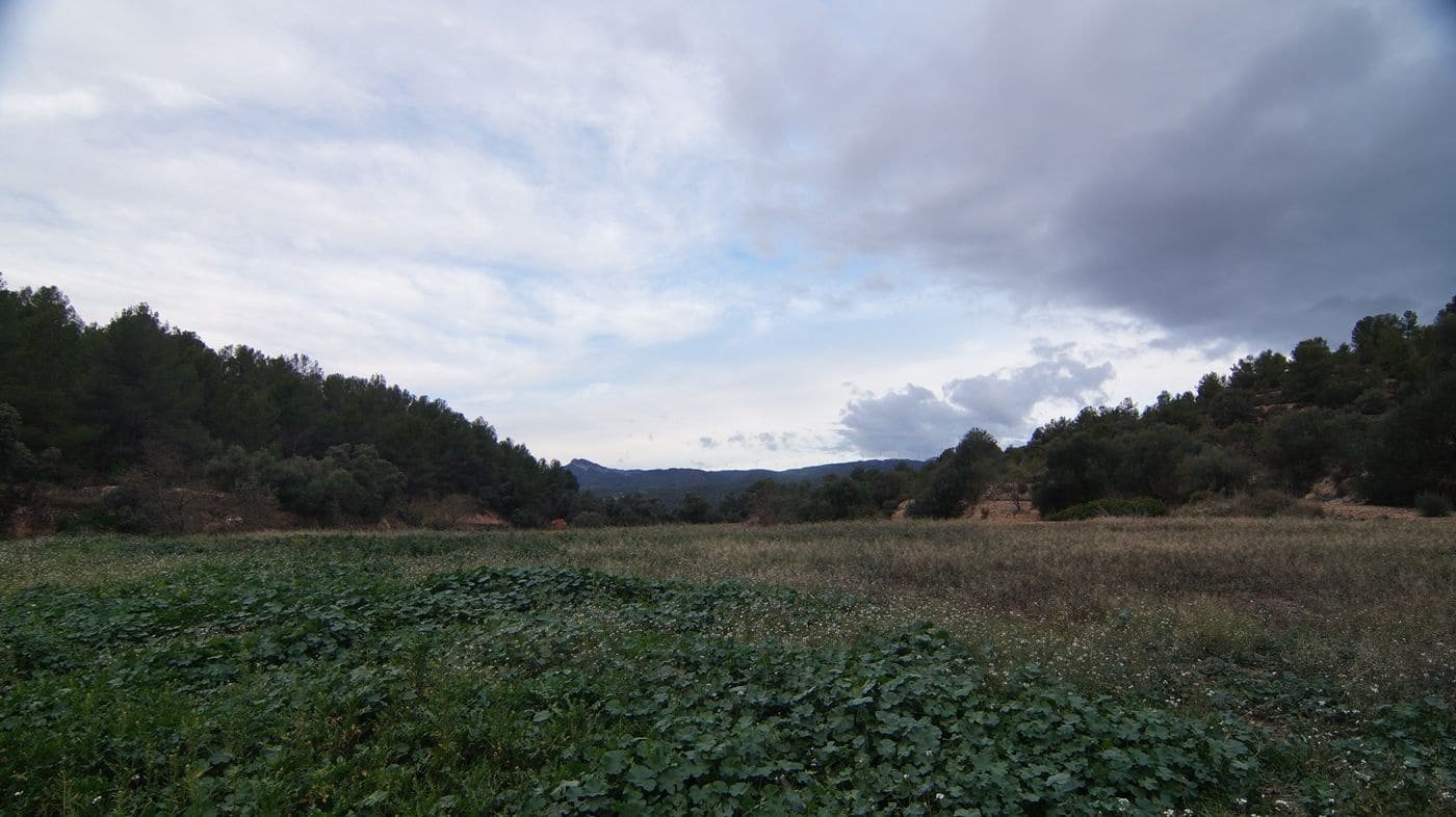 Finca/Hus på landet till salu i Mora la Nova - 80 000 € (Ref: 9617926)