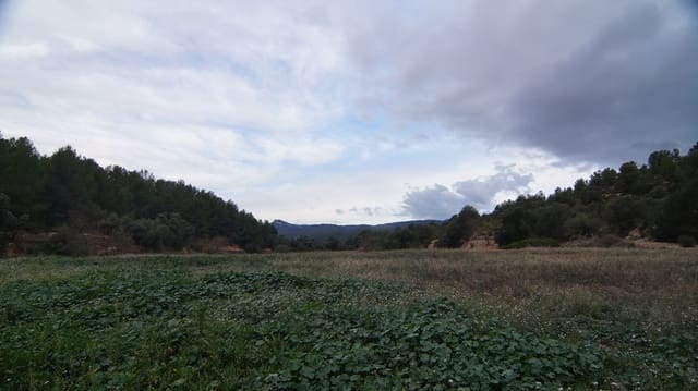 Finca/Country House for sale in Móra la Nova - € 80,000 (Ref: 9617926)