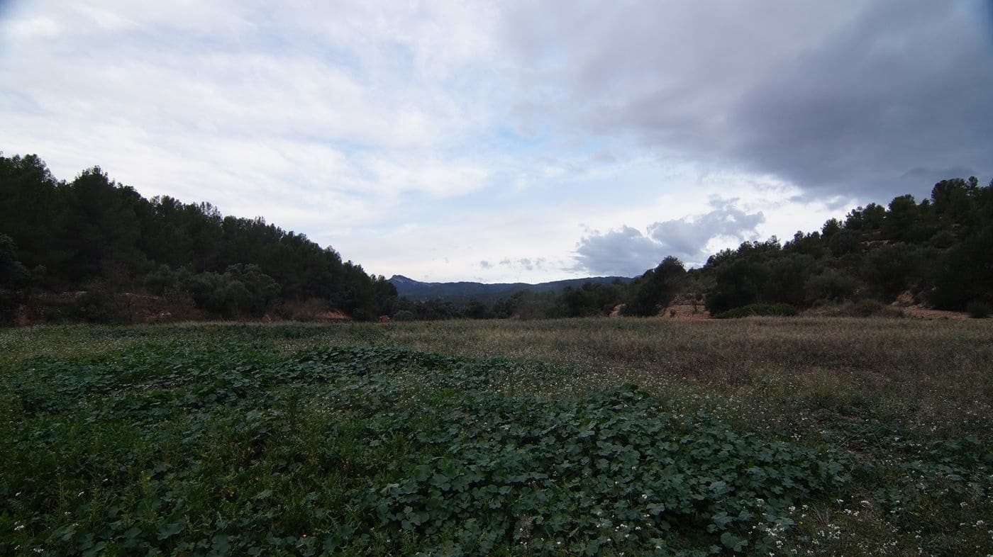 Finca/Hus på landet till salu i Mora la Nova - 80 000 € (Ref: 9617926)