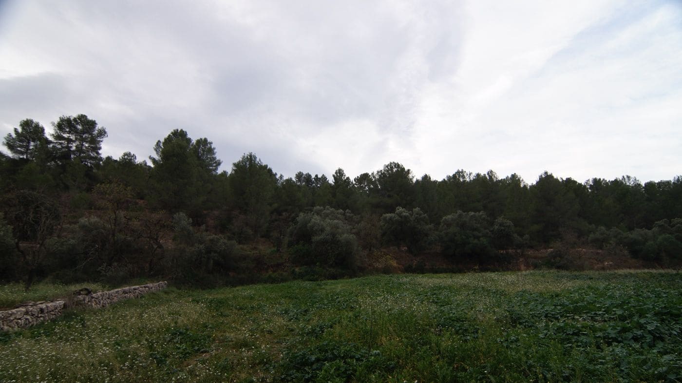 Finca/Hus på landet till salu i Mora la Nova - 80 000 € (Ref: 9617926)