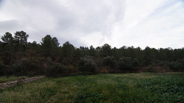 Finca/Country House for sale in Móra la Nova - € 80,000 (Ref: 9617926)