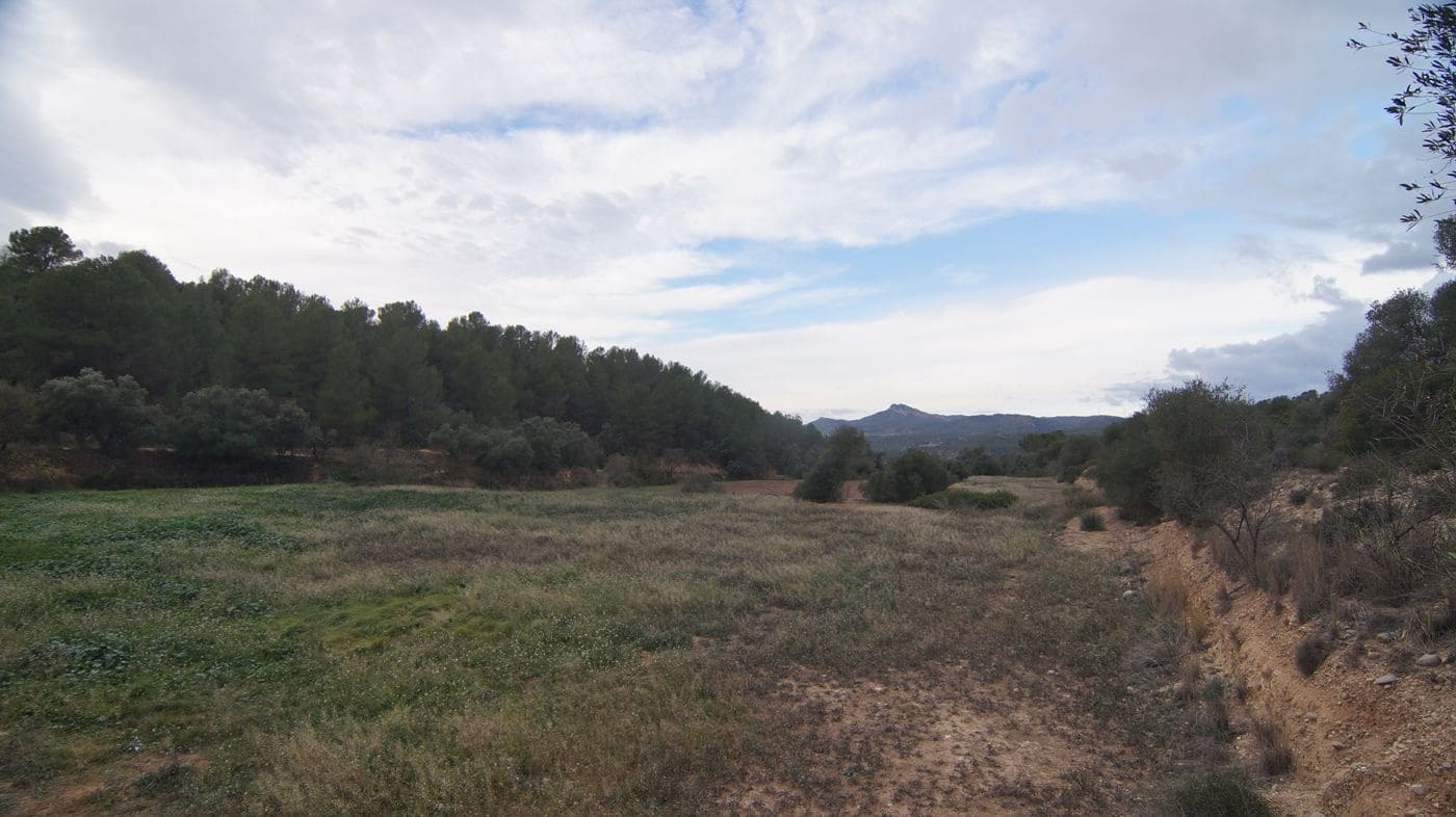 Finca/Hus på landet till salu i Mora la Nova - 80 000 € (Ref: 9617926)