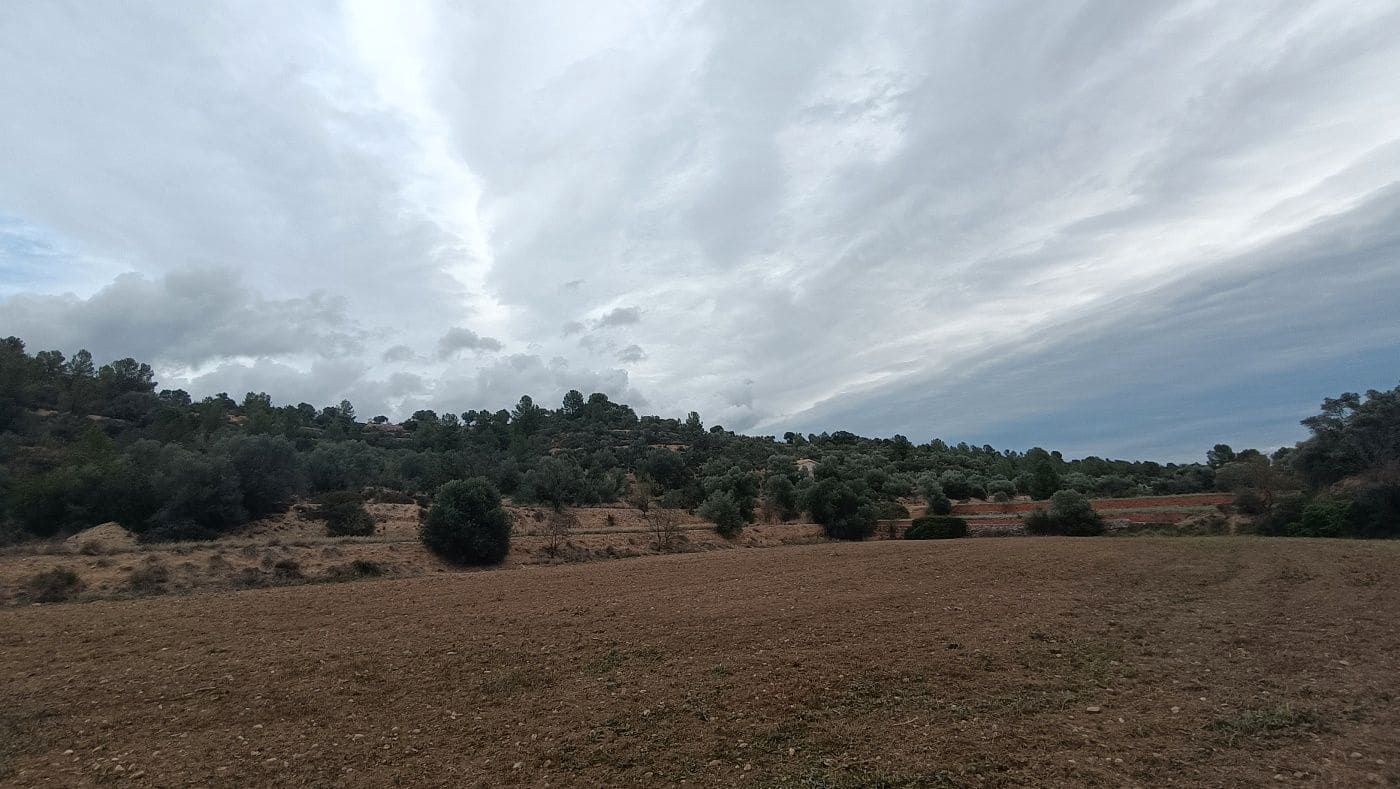 Finca/Hus på landet till salu i Mora la Nova - 80 000 € (Ref: 9617926)