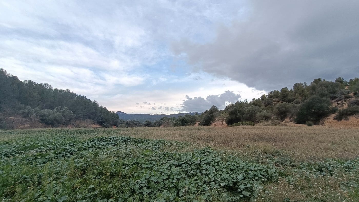 Finca/Hus på landet till salu i Mora la Nova - 80 000 € (Ref: 9617926)