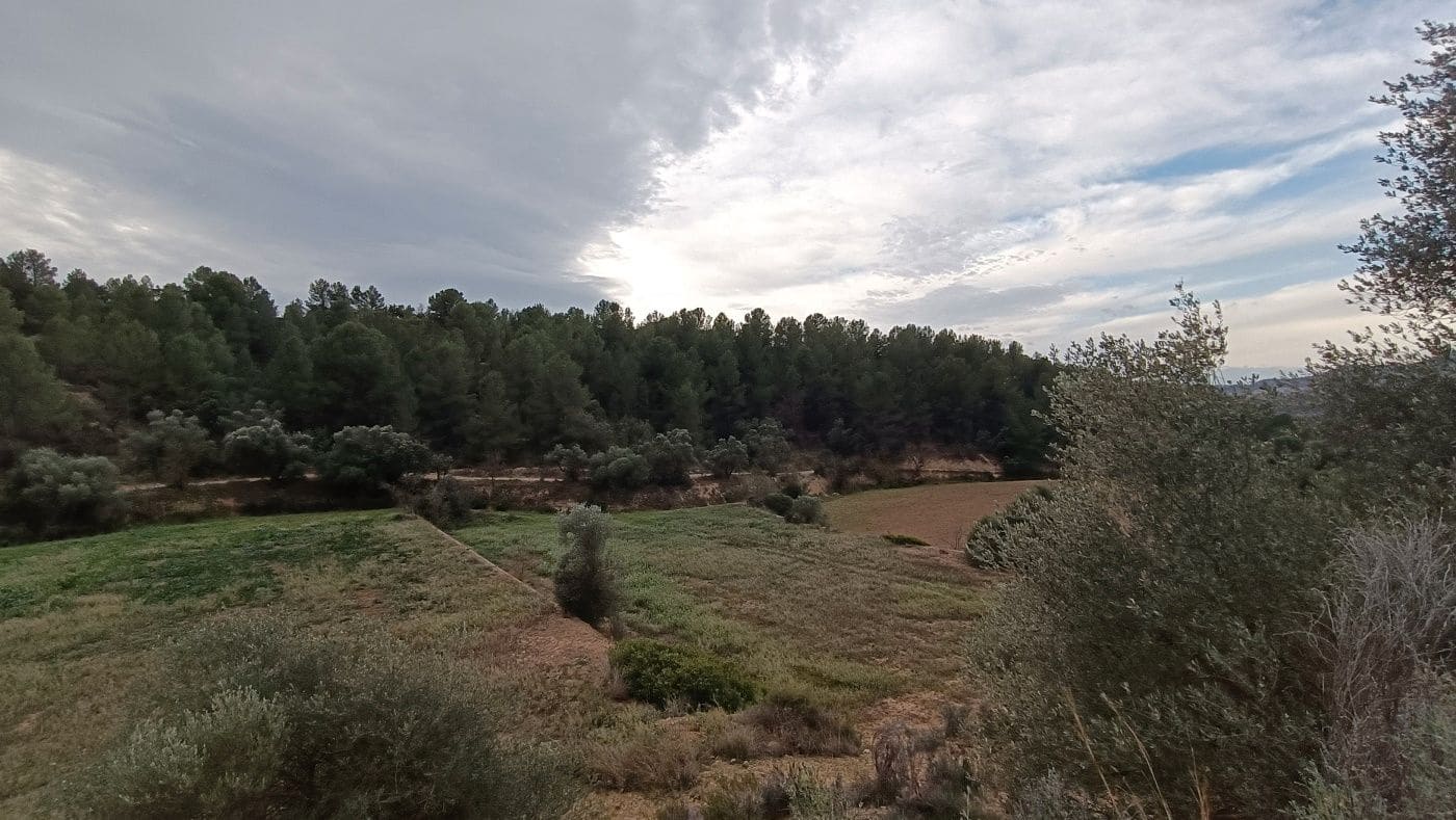 Finca/Hus på landet till salu i Mora la Nova - 80 000 € (Ref: 9617926)