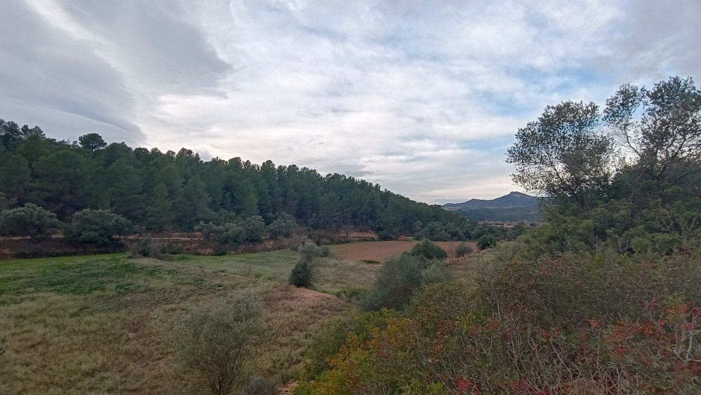 Finca/Hus på landet till salu i Mora la Nova - 80 000 € (Ref: 9617926)