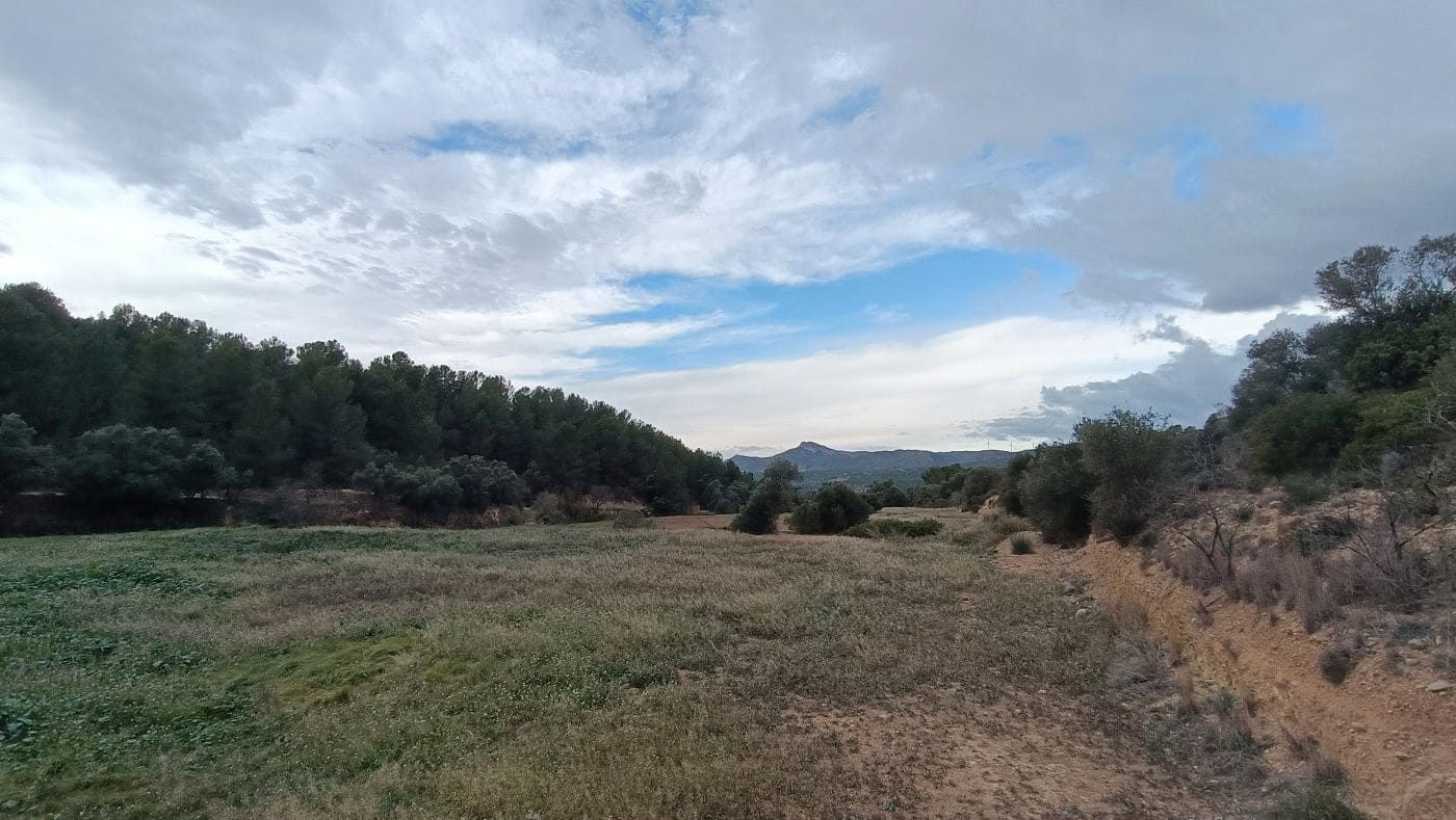 Finca/Hus på landet till salu i Mora la Nova - 80 000 € (Ref: 9617926)