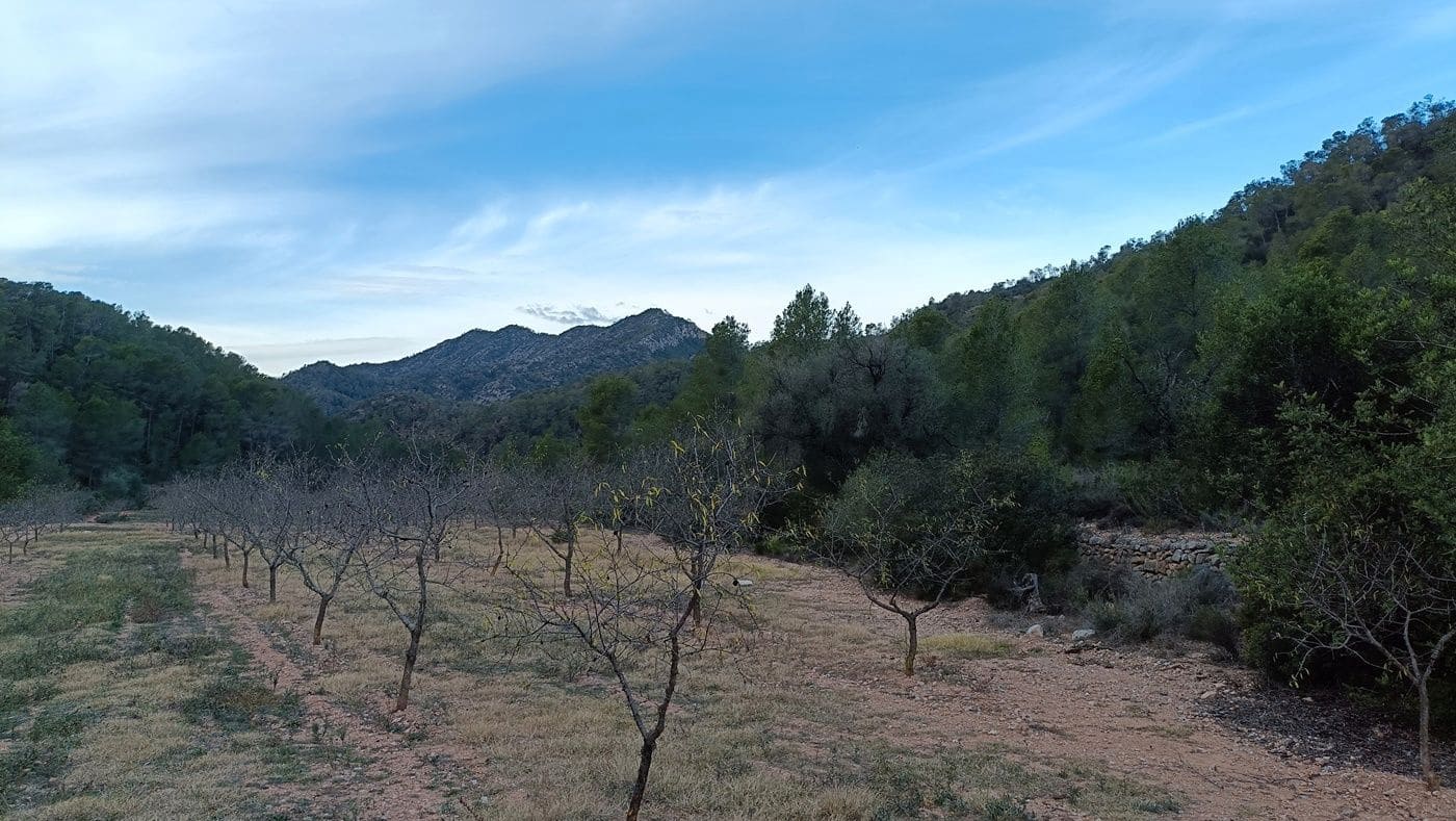 Maalaistalo myytävänä paikassa Miravet - 65 000 € (Ref: 9617931)