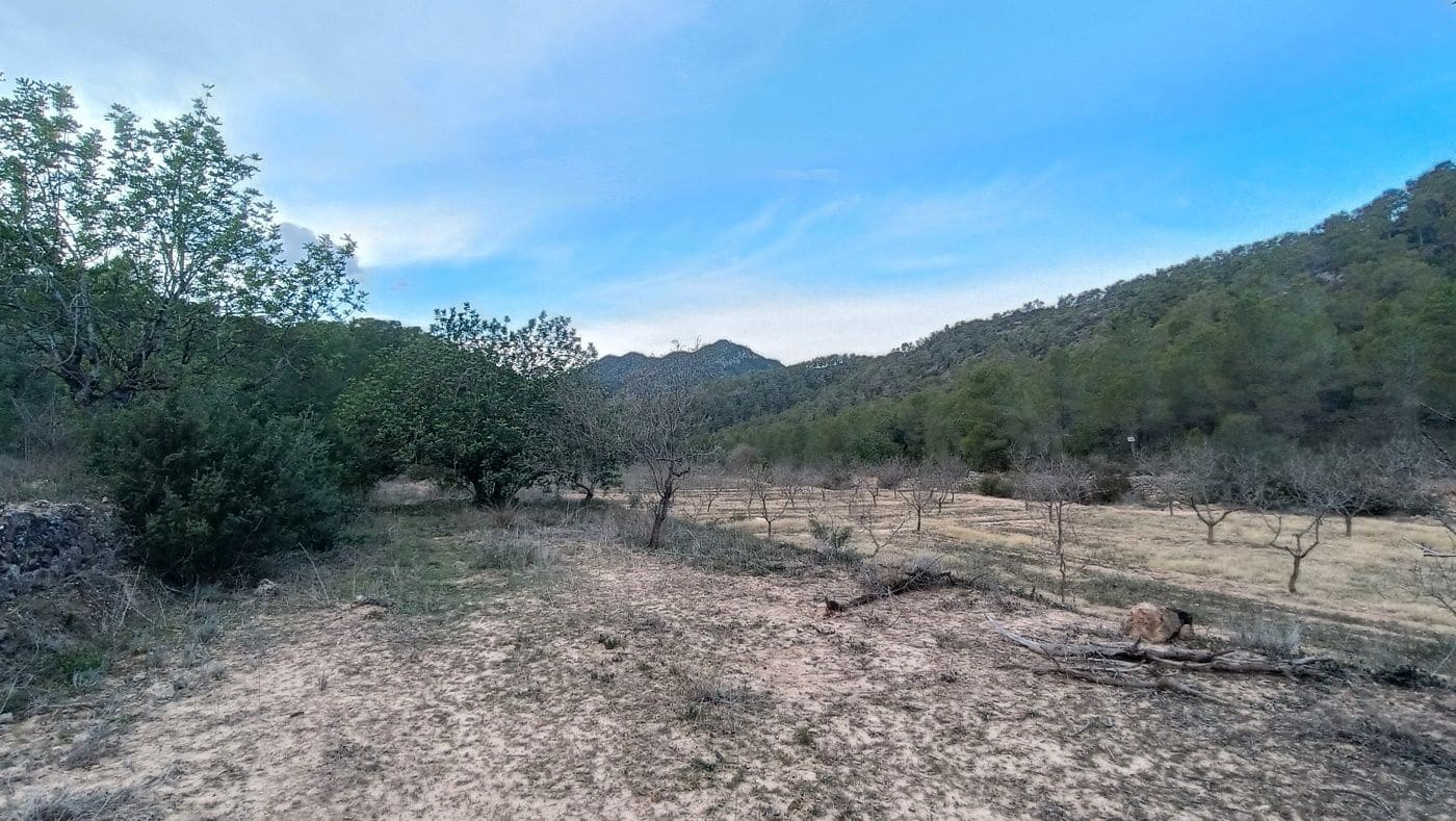 Maalaistalo myytävänä paikassa Miravet - 65 000 € (Ref: 9617931)