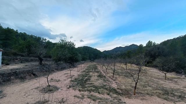 Maalaistalo myytävänä paikassa Miravet - 65 000 € (Ref: 9617931)