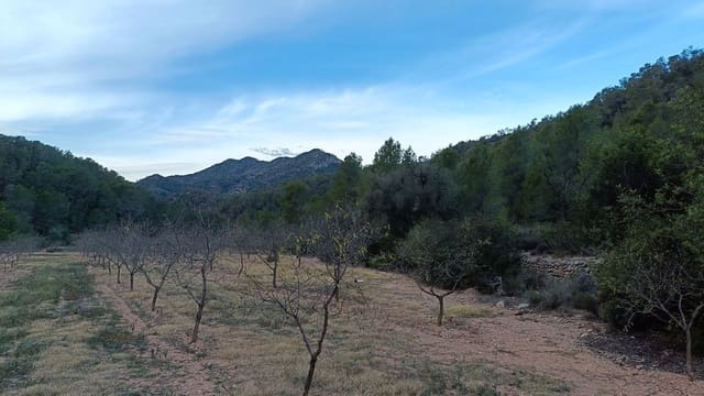 Maalaistalo myytävänä paikassa Miravet - 65 000 € (Ref: 9617931)