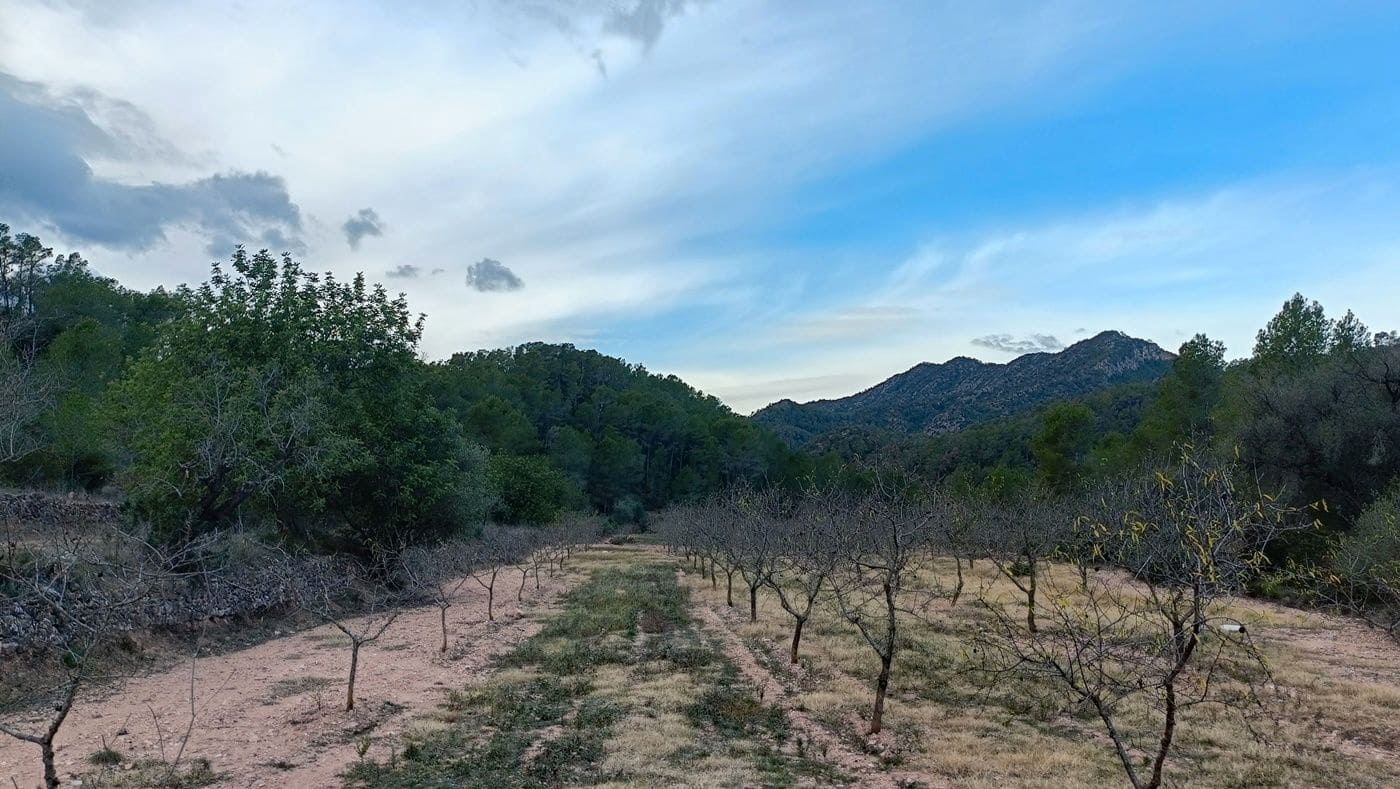 Maalaistalo myytävänä paikassa Miravet - 65 000 € (Ref: 9617931)