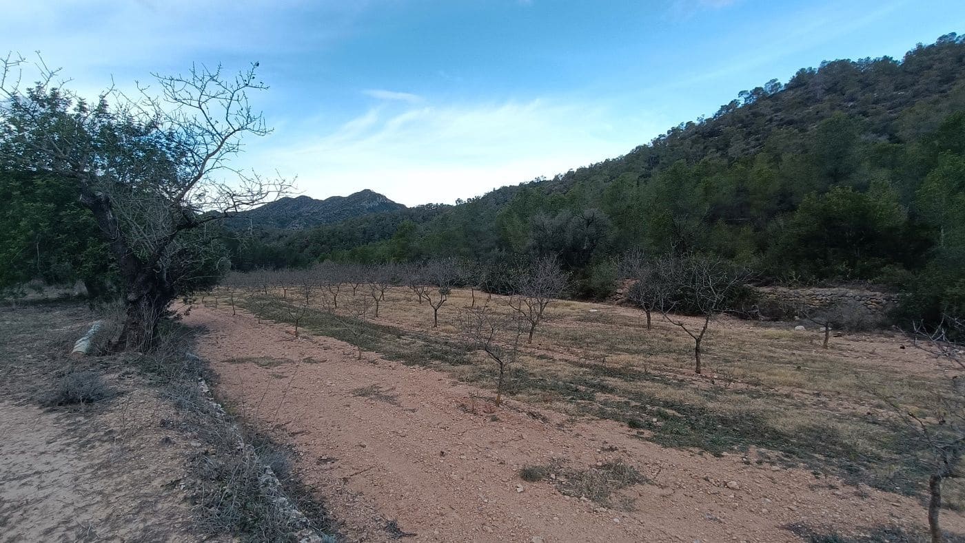 Maalaistalo myytävänä paikassa Miravet - 65 000 € (Ref: 9617931)