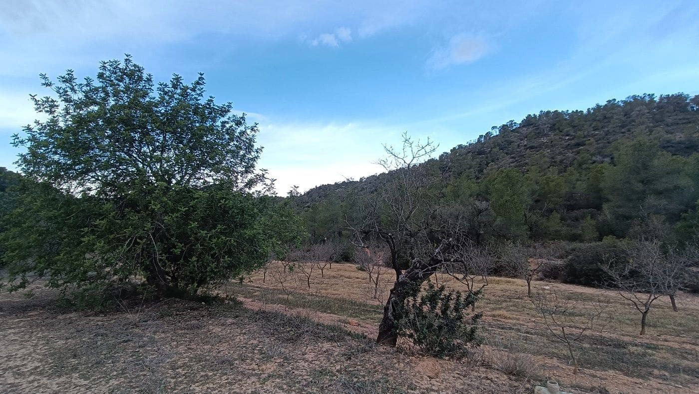 Maalaistalo myytävänä paikassa Miravet - 65 000 € (Ref: 9617931)