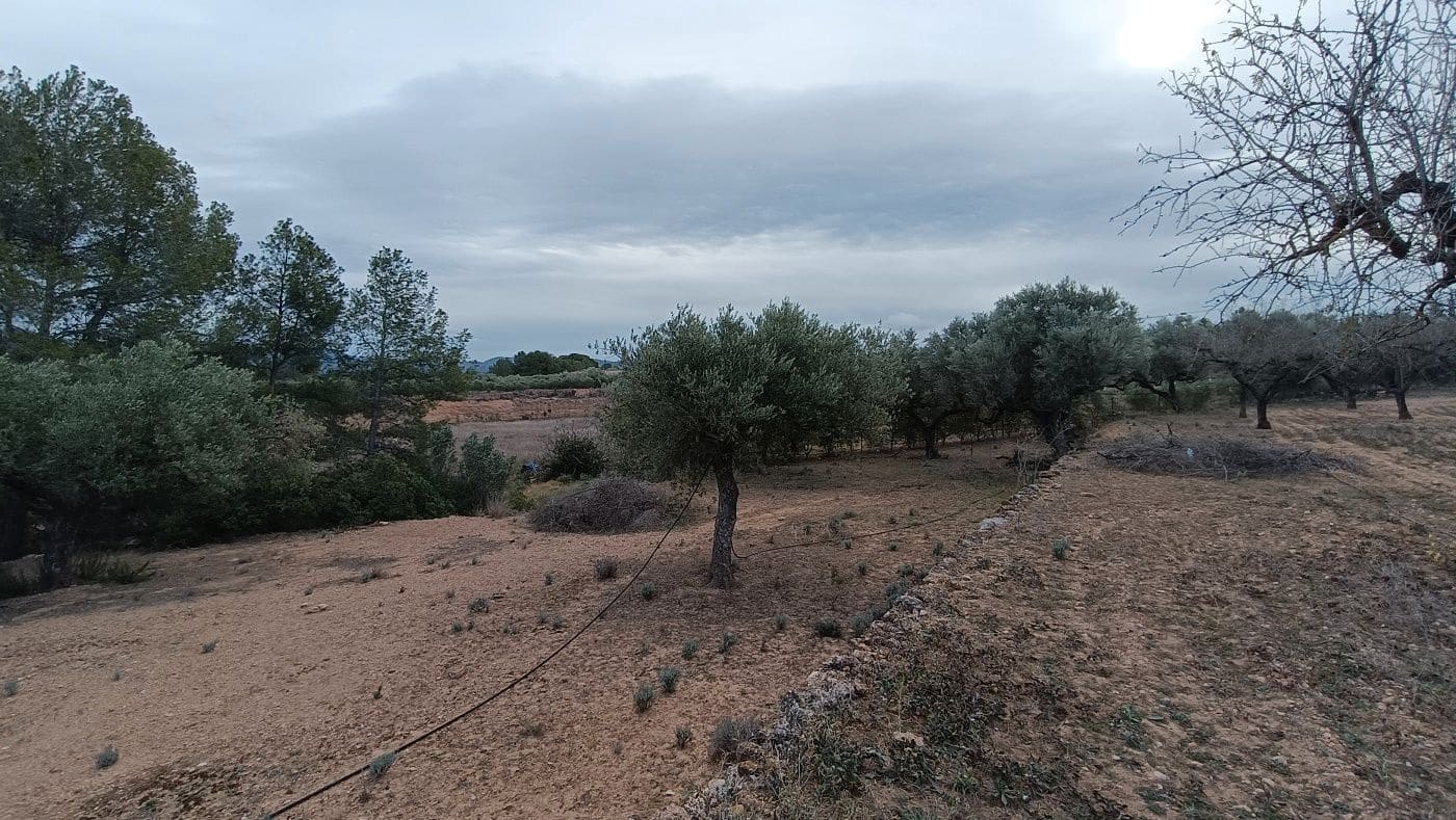 Finca/Country House for sale in Rasquera - € 35,000 (Ref: 9617932)