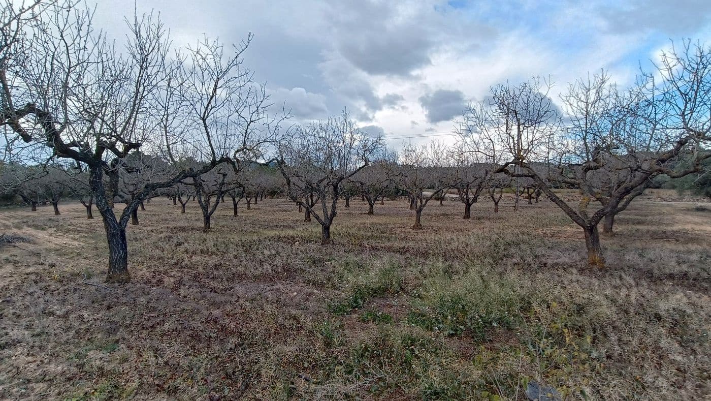 Finca/Country House for sale in Rasquera - € 35,000 (Ref: 9617932)