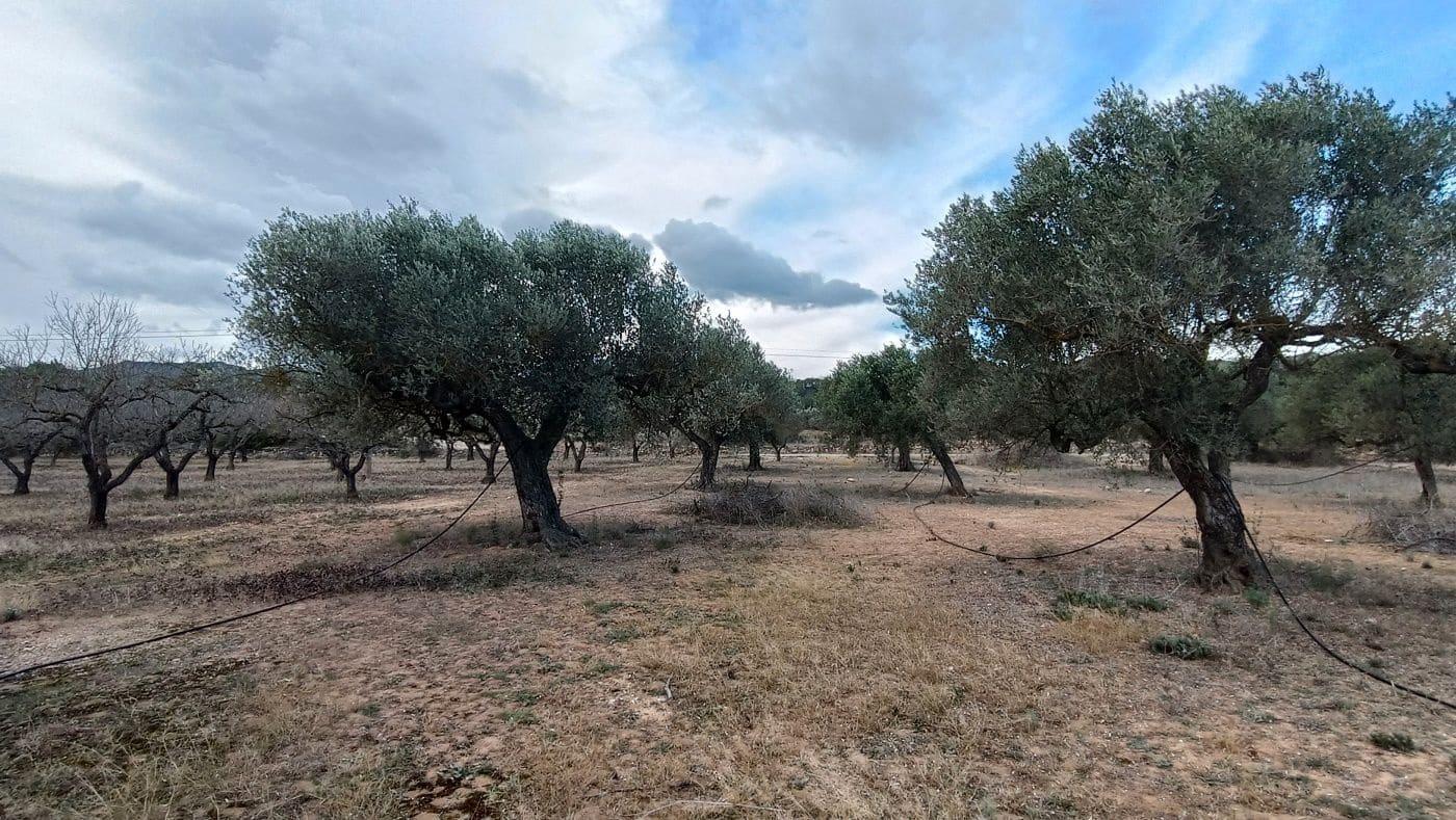 Finca/Country House for sale in Rasquera - € 35,000 (Ref: 9617932)