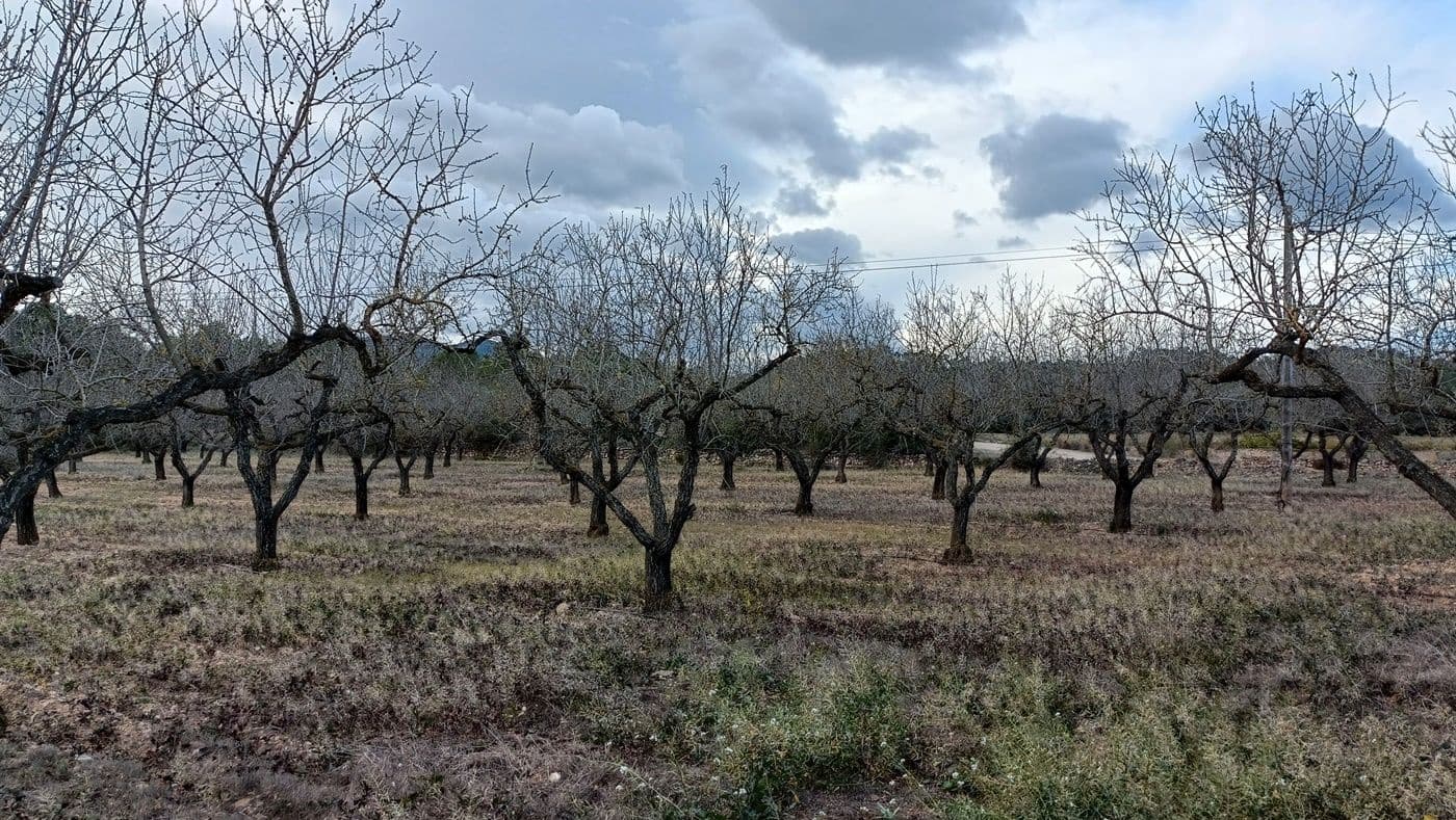 Finca/Country House for sale in Rasquera - € 35,000 (Ref: 9617932)