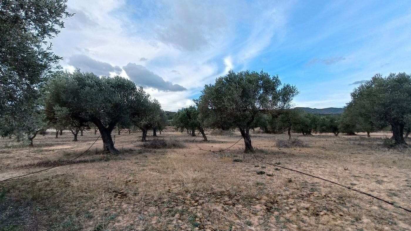 Finca/Country House for sale in Rasquera - € 35,000 (Ref: 9617932)