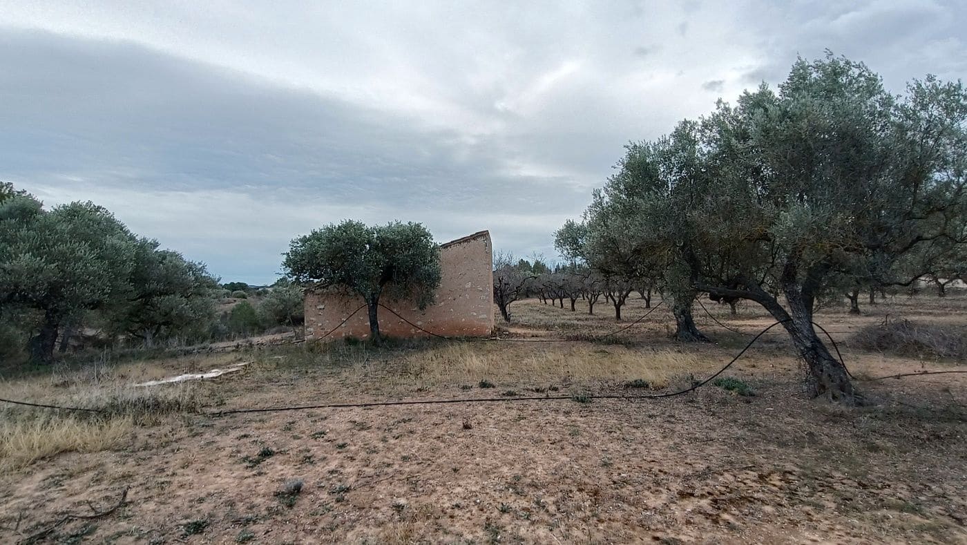 Finca/Country House for sale in Rasquera - € 35,000 (Ref: 9617932)